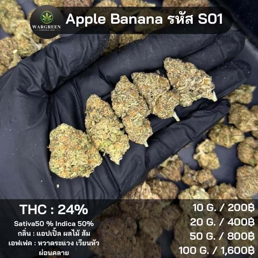 THC 38 %